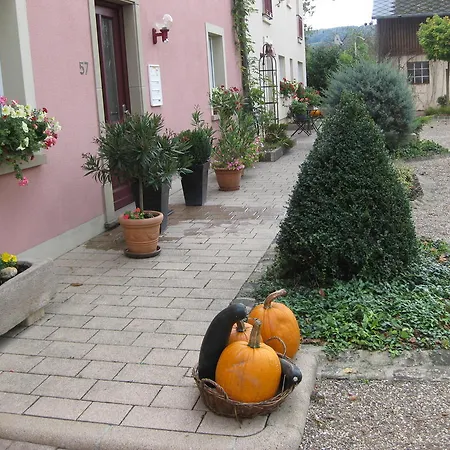 Vakantiehuis Gites Gleis-bingen